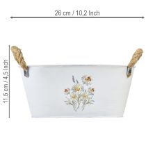 Artículo Bol ovalado decorativo de metal, blanco, decoración floral natural, 26 cm de largo.