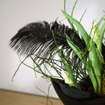 Artículo Plumas decorativas de avestruz plumas negras 38-40cm 2 piezas
