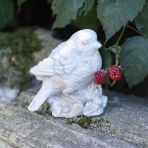 Artículo Figura decorativa de pájaro gorrión de piedra fundida blanca lavada H12,5cm