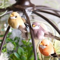 Artículo Pájaros decorativos, decoración artificial para el hogar, ocasión primaveral, con plumaje colorido hecho de plumas reales, 5 cm, 18 piezas