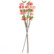 Artículo Ramas decorativas manzana ornamental amarillo/rojo otoño invierno L58cm 3 piezas