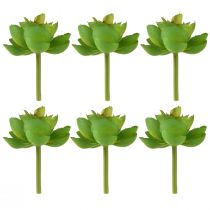 Artículo Suculentas artificiales Echeveria verde Ø7cm 6 uds