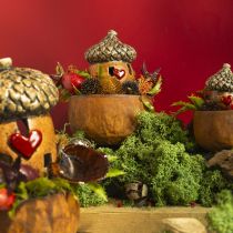 Artículo Bellota con decoración de ventana y corazón 9,8 cm - decoración atmosférica de otoño e invierno - 4 piezas