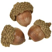 Artículo Bellotas para decoración, decoración de otoño, frutos naturales de otoño Ø1,5 – 2,5cm L1,5 – 3cm 300g