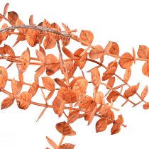 Artículo Percha de eucalipto artificial Eucalipto otoñal naranja 150 cm