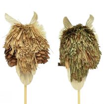 Artículo Tapones de flores decorativos búho decoración de otoño natural Ø4cm H8cm 4ud