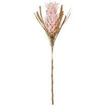 Artículo Flor artificial exótica rosa flor de piña grande 74cm