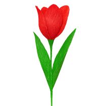Artículo Papel crepé para floristería, papel crepé para floristería, rojo, 50×250 cm, 5 unidades