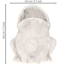 Artículo Maceta decorativa con forma de rana, color gris hormigón, altura 18,5 cm.