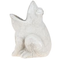 Artículo Maceta decorativa con forma de rana, color gris hormigón, altura 18,5 cm.