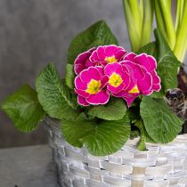 Artículo Cesta tejida como elegante decoración floral para el salón. Cesta de Pascua, 23 cm, 6 unidades.