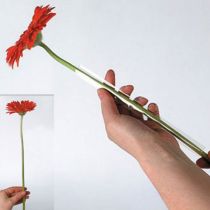 Artículo Secciones de tubo de gerbera de 19 mm, 1000 piezas