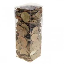 Artículo Hojas secas, Moneta decorativa, arreglos florales secos, naturales, 200 g