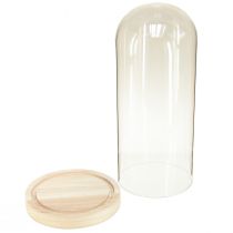 Artículo Campana de cristal con dintel de cristal con base de madera transparente Ø14cm H28,5cm