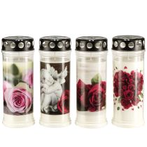 Artículo Velas de aceite para tumbas, velas de luto, rosas, Ø7,5 cm, alto 20,5 cm, 6 unidades