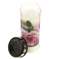 Artículo Velas de aceite para tumbas, velas de luto, rosas, Ø7,5 cm, alto 20,5 cm, 6 unidades
