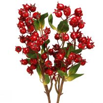 Artículo Rama decorativa de escaramujo con frutos rojos L60cm 2 piezas