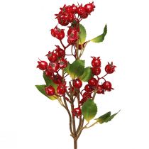 Artículo Rama decorativa de escaramujo con frutos rojos L60cm 2 piezas