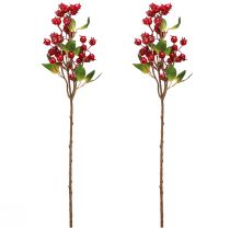 Artículo Rama decorativa de escaramujo con frutos rojos L60cm 2 piezas
