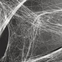 Artículo Decoración de Halloween telaraña telarañas 70×100cm 150g