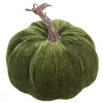 Artículo Decoración otoñal calabaza verde claro verde verde oscuro Ø13cm 3 piezas