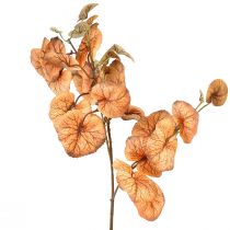 Artículo Heuchera Hojas Redondas Plantas Artificiales Otoño L66cm