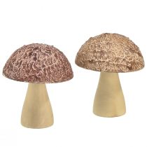 Artículo Setas de madera setas decorativas decoración de mesa otoño marrón natural 5×6cm 8 piezas
