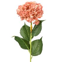 Artículo Hortensia Rosa 80cm 1 ud