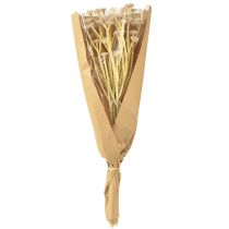 Artículo Flores Artificiales Italianas De Paja Rosa L28cm