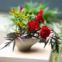 Artículo Erizo de flor redondo de latón para arreglos florales e ikebana