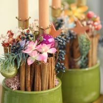 Artículo Portavelas corona dorada, portavelas de metal 4 piezas