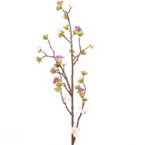 Rama de flor de cerezo rosa 95cm