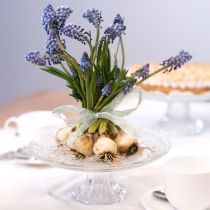 Artículo Plato de cristal clásico para tartas con pie - Elegante para cualquier celebración Ø 20cm