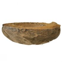 Artículo Maceta de coco, natural, 20 cm, 5 unidades