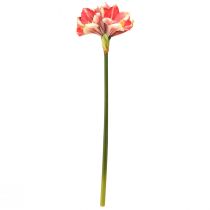 Artículo Amarilis Artificial Rosa y Crema – Flor de Tallo Grande 76cm