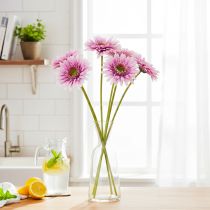 Artículo Flores artificiales de gerbera para jardín, color morado, 47 cm, 6 unidades