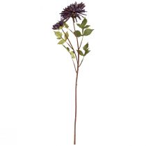 Artículo Crisantemo artificial 2 flores violeta Ø5/11cm L70cm