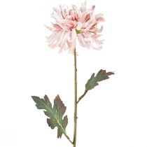 Artículo Crisantemos Artificiales Rosa Malva Ø13cm L72cm 2ud