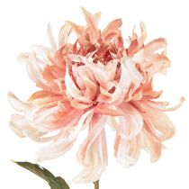 Artículo Crisantemos Artificiales Rosa Malva Ø13cm L72cm 2ud