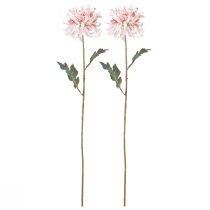 Artículo Crisantemos Artificiales Rosa Malva Ø13cm L72cm 2ud