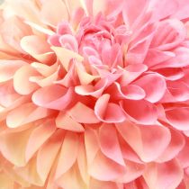 Artículo Dalias artificiales en rosa melocotón Ø10cm L80cm 2ud