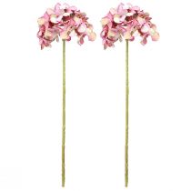 Artículo Hortensia Artificial Grande Rosa Malva Ø15cm L58cm 2ud