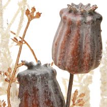Artículo Cápsulas de amapola decoración flores secas helecho artificial crema 63cm