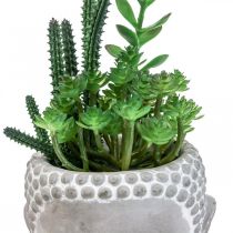 Maceta para suculentas artificiales Buda Ø12cm H24cm