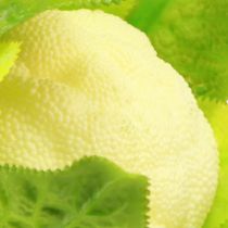 Artículo Decoración vegetal de coliflor artificial blanco verde Ø9cm H15cm