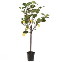 Artículo Atractivo limonero artificial en maceta, planta artificial decorativa amarilla, 90 cm, fácil de cuidar, adecuado para espacios domésticos y comerciales.
