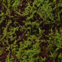 Artículo Musgo Artificial Estera de Musgo Grande Marrón Verde 100×50cm