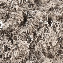 Artículo Musgo Artificial Alfombra de Musgo Realista Musgo Artificial Gris 25×25cm