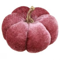 Artículo Calabaza de tela decoración terciopelo burdeos rosa Ø7cm 9 piezas