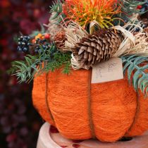 Artículo Maceta de calabaza naranja/amarillo-verde de sisal Ø15cm H9cm